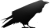 Crow